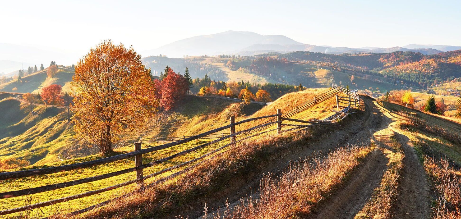 Какой праздник отмечают 11 ноября: все об этом дне