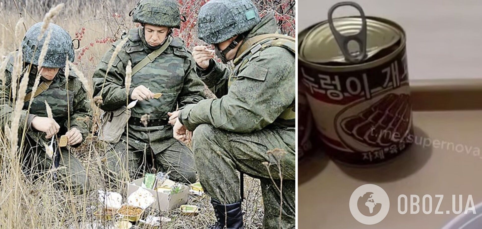 Российским военным поставили консервы из собачьего мяса из КНДР - Bild