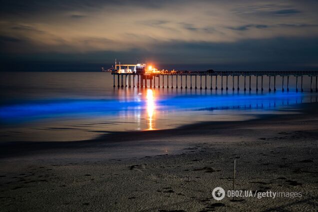 Чудо природы: в Калифорнии океан зажегся неоном. Фото и видео