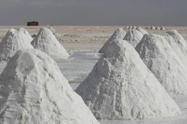 Співвласника 'Катіон Інвест' Сергія Кондратьєва звинуватили в саботажі роботи єдиного в Україні родовища з видобутку солі