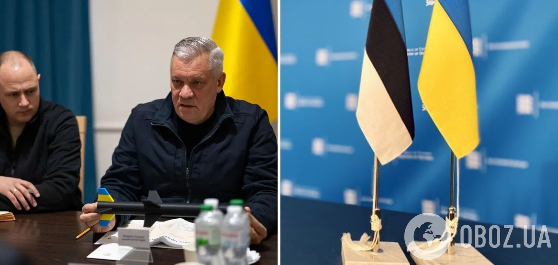 Украина получит для испытаний ракеты ПВО от Эстонии: появились подробности