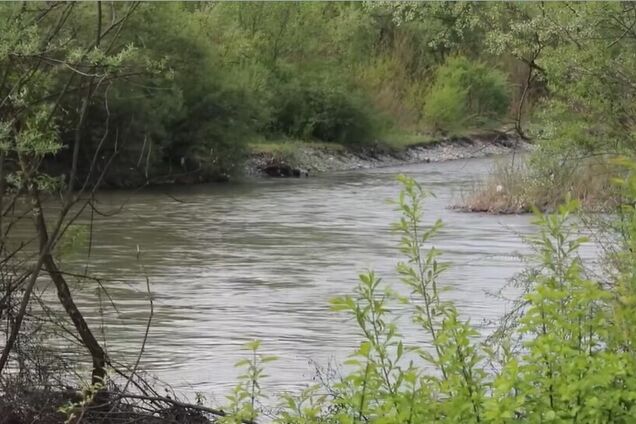 На кордоні з Румунією у Тисі виявили тіло чоловіка: у ДПСУ розповіли, скільки життів забрала річка