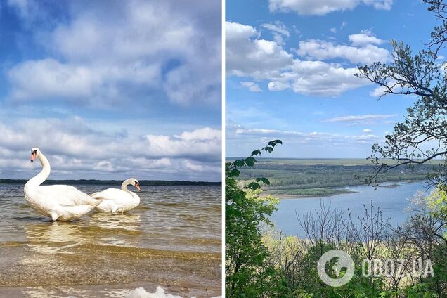 Уникальные заказники и заповедники Украины: куда еще успеть поехать в межсезонье