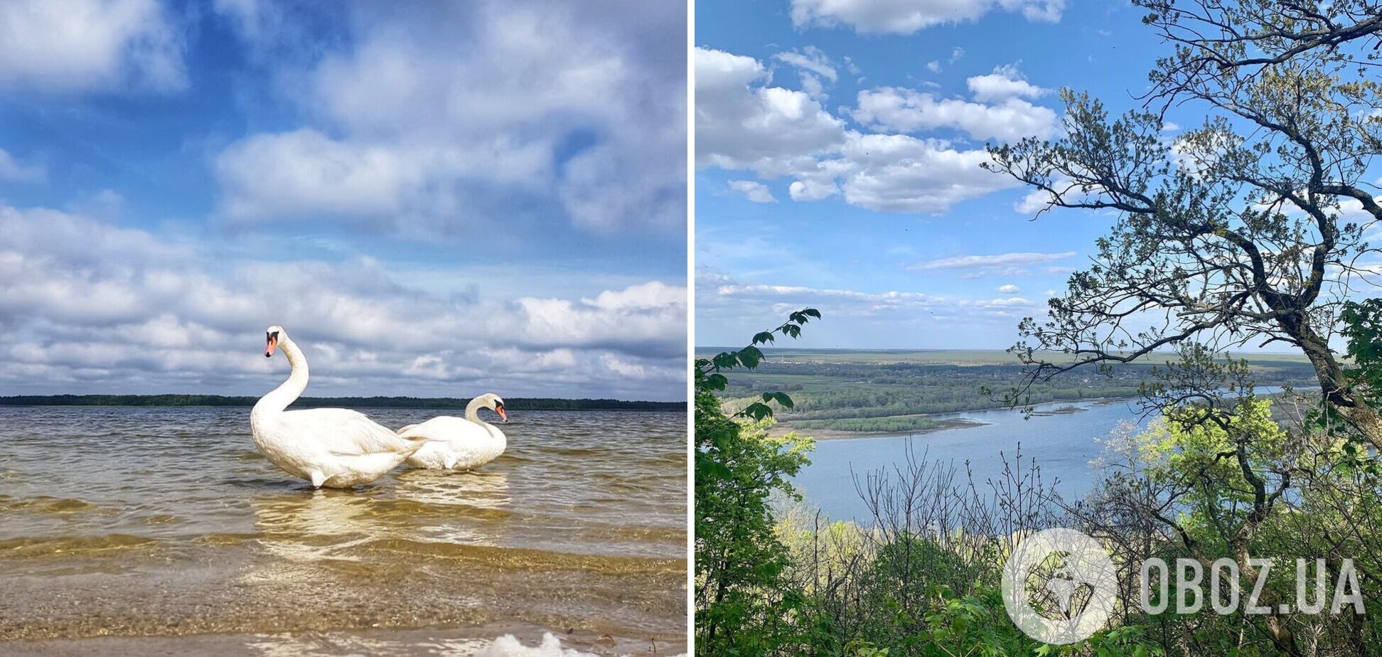 Уникальные заказники и заповедники Украины: куда еще успеть поехать в межсезонье