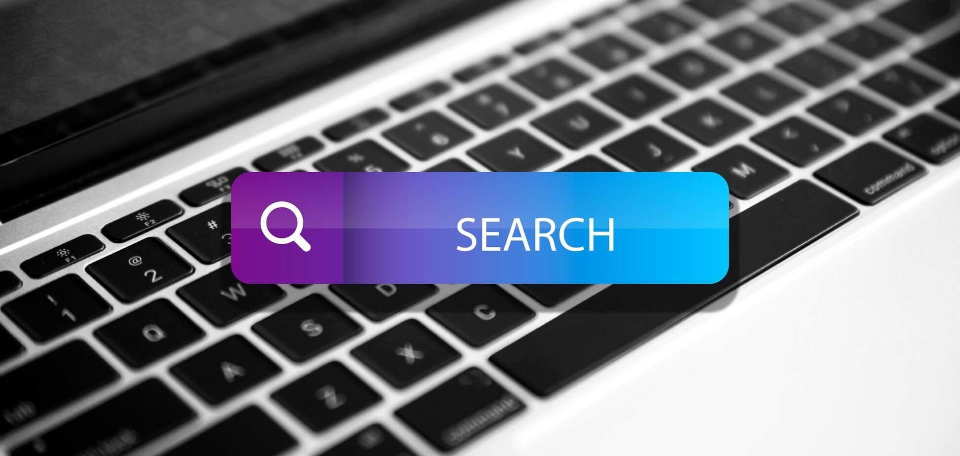 EcoFlow, Сирський, Суджа: що українці найчастіше шукали в Google у 2024 році