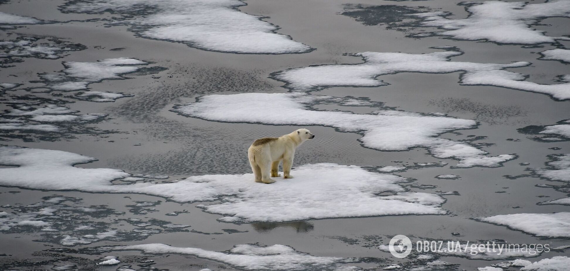Високі температури, танення льоду та безпрецедентні викиди: науковці забили на сполох через стан Арктики