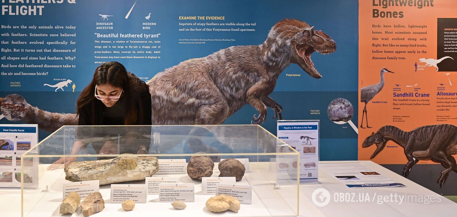 Третина всіх живих видів може зникнути до 2100 року через глобальне потепління, – біолог