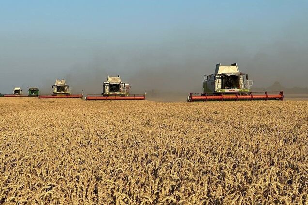 'Протоколы безопасности' – новое слово в аграрном бизнесе. Как и какие культуры выращивают на территориях, близких к зоне боевых действий