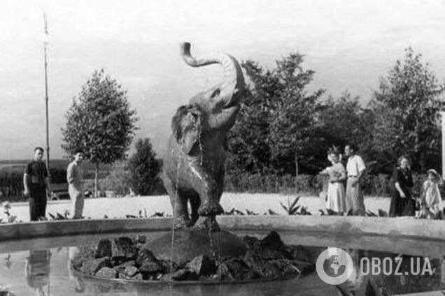 Забытый символ старого Киева: как выглядел легендарный фонтан 'Слон' в центре столицы. Архивные фото