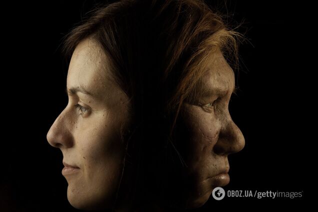 Коли неандертальці схрещувалися з давніми людьми? Нове дослідження пролило світло на наше походження