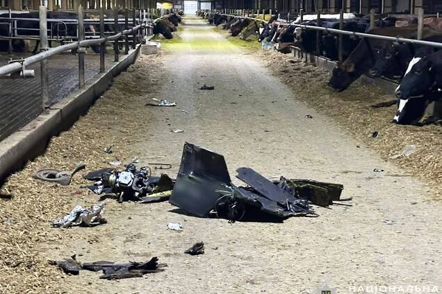 На Чернігівщині внаслідок російських атак пошкоджено будинки та навчальний заклад, загинула худоба на фермі. Фото