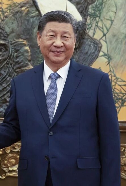 Сі Цзіньпін назвав китайсько-російські відносини 'зразковими' і зробив заяву про 'кризу' в Україні