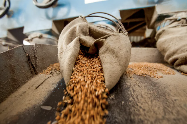 Україна заявила про готовність експортувати зерно в Сирію