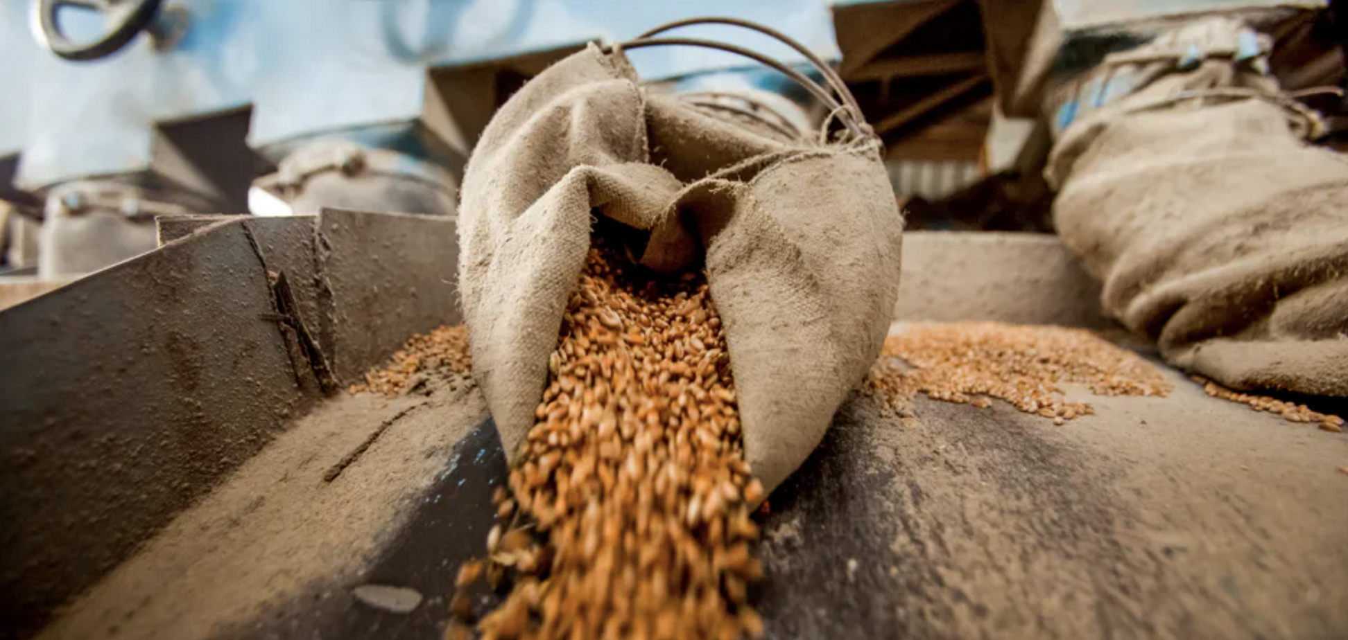 Украина заявила о готовности экспортировать зерно в Сирию