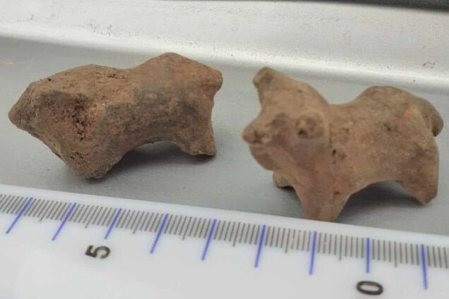 Біля Галича знайшли глиняні фігурки епохи 'раннього заліза'. Фото