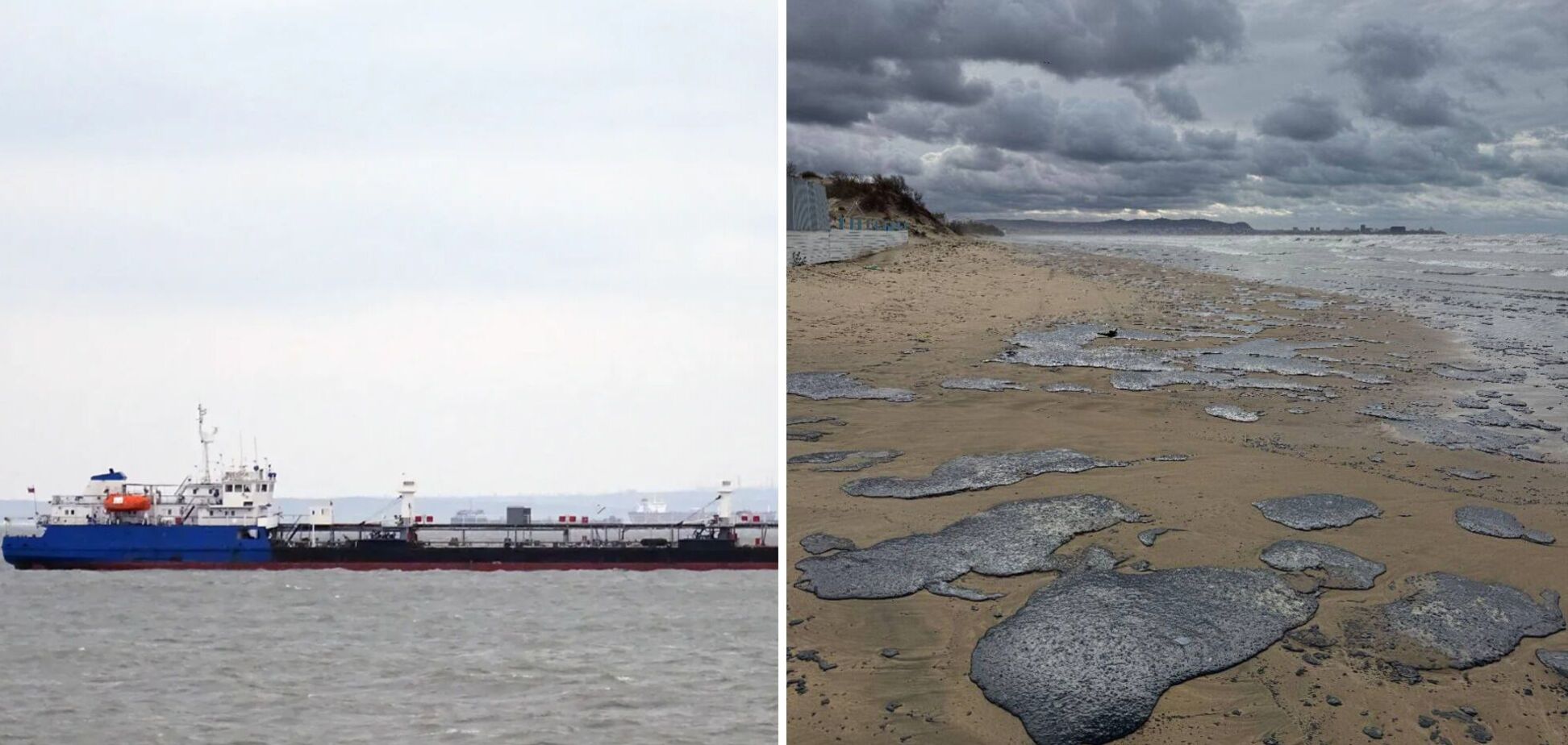 Нефтепродукты вынесло на берег, пострадали птицы: появились данные о последствиях крушения российских танкеров возле Керчи. Фото и видео