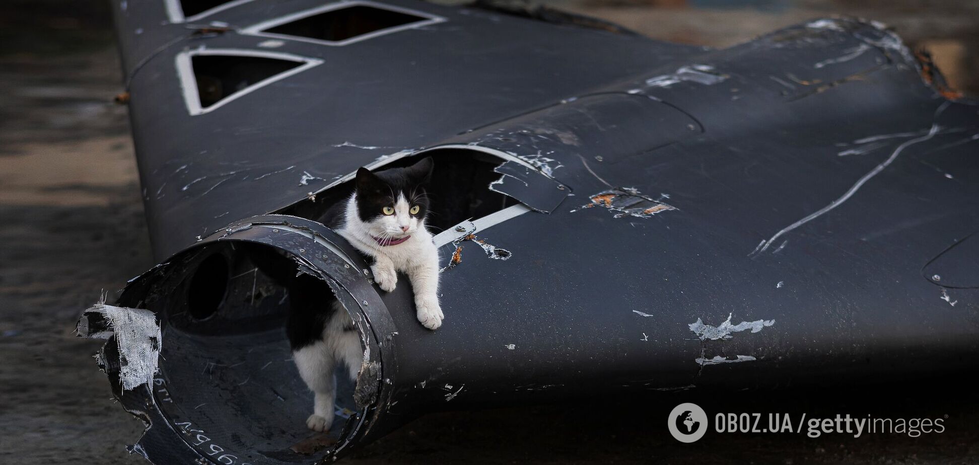 Защитники неба сбили 20 российских дронов, еще десяток не достигли своих целей – Воздушные силы