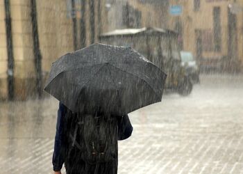 Місцями дощ та до +8°С: детальний прогноз погоди по Київщині на 20 грудня