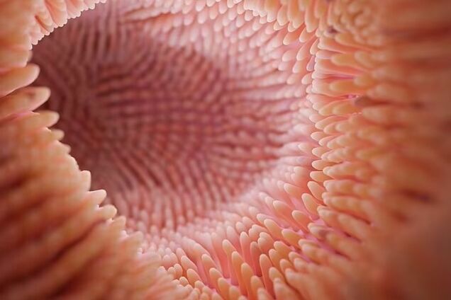 Вчені знайшли 'божевільну' нову форму життя, яка ховається в людських тілах