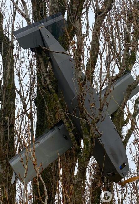 Высел на дереве: в Киевской области саперы изъяли российский беспилотник-приманку. Фото