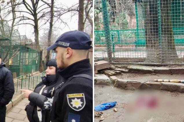 В Одесском зоопарке леопард напал на работника: мужчина оказался в больнице, полиция открыла дело. Фото