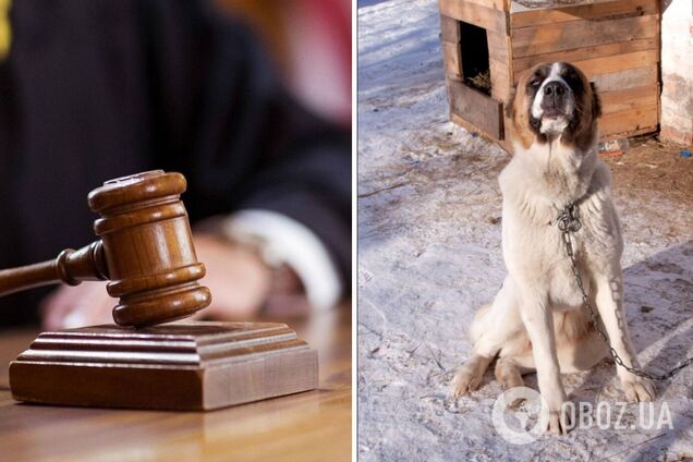В Киеве суд вынес приговор владельцу собаки, которая искусала девушку за лицо. Подробности дела
