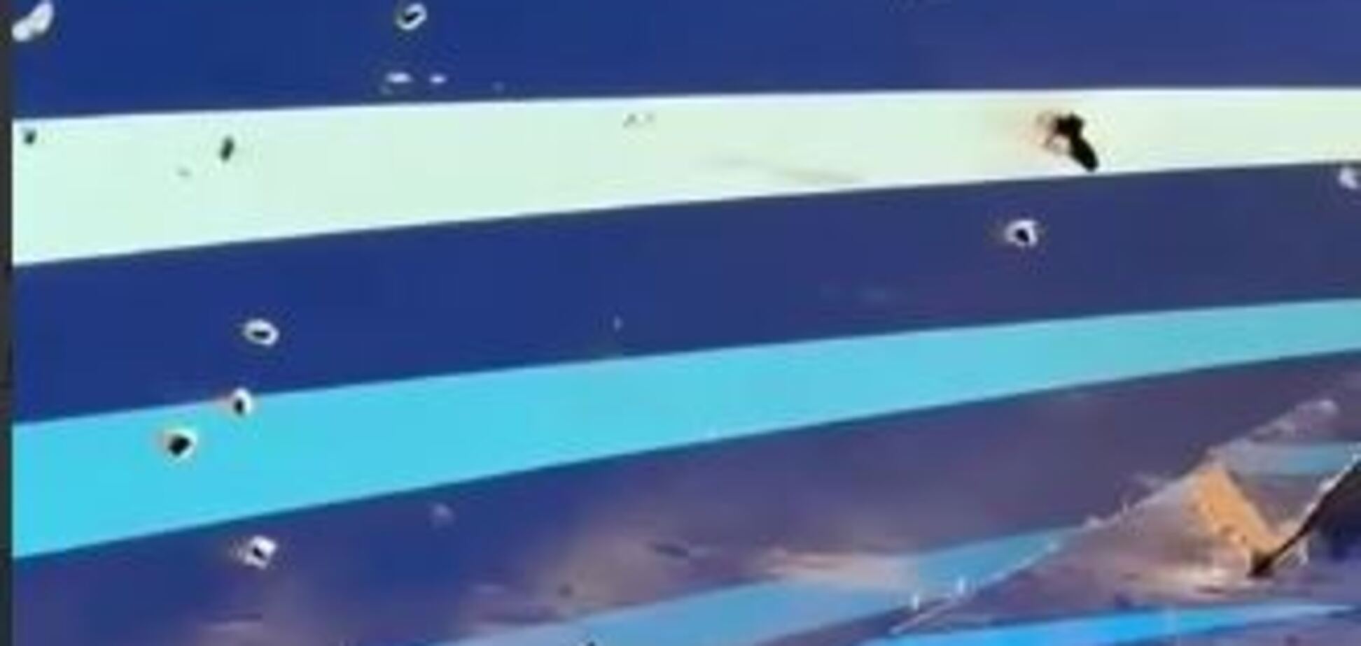 Черный лебедь для Кадырова. Что произошло с упавшим самолетом Azerbaijan Airlines