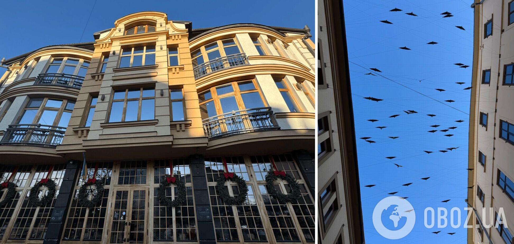 Зимові локації Івано-Франківська: де побувати на вихідних