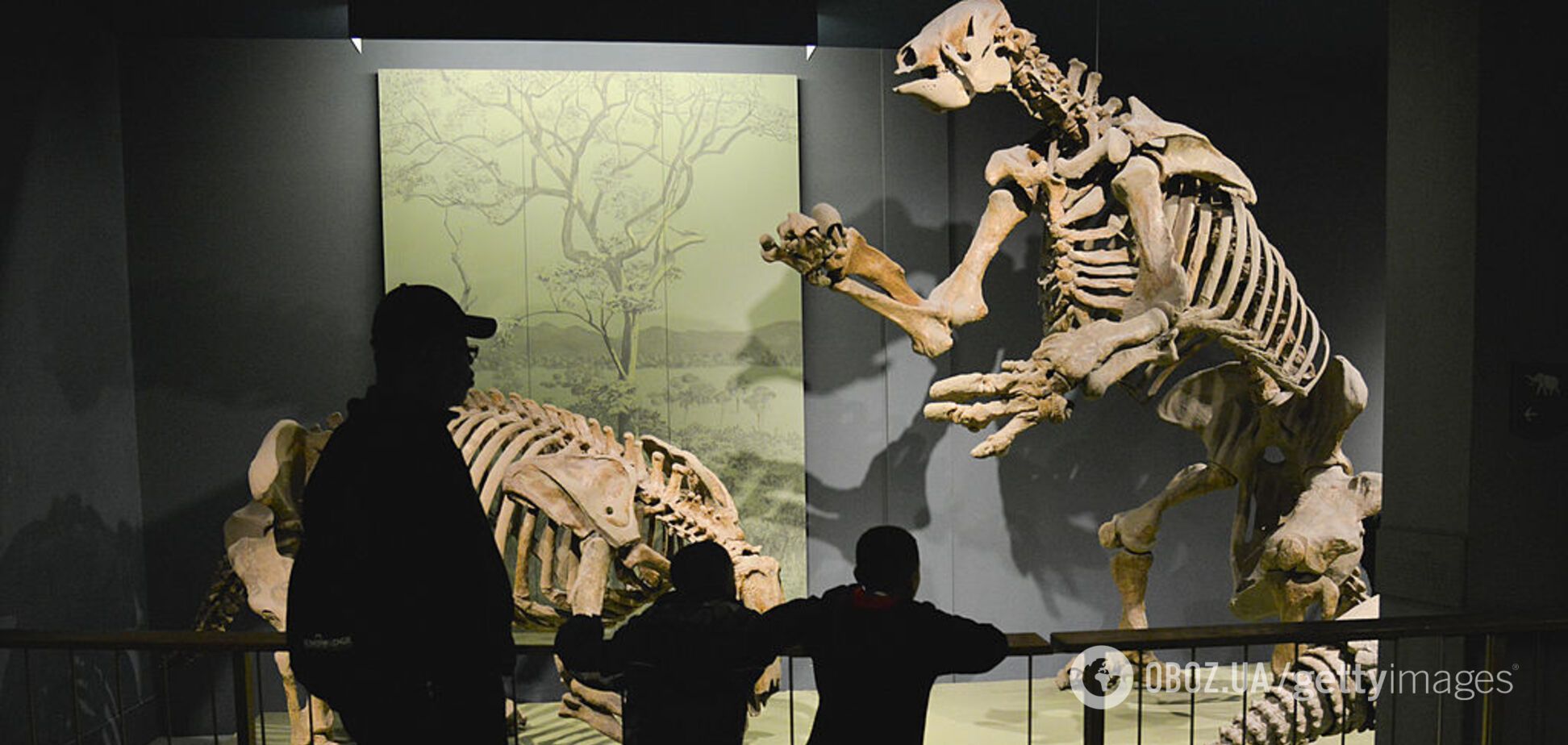 Гигантские ленивцы с когтями, раздирающие плоть. Ученые рассказали интересные факты о соседях людей, с которыми те прожили около 10 тысяч лет