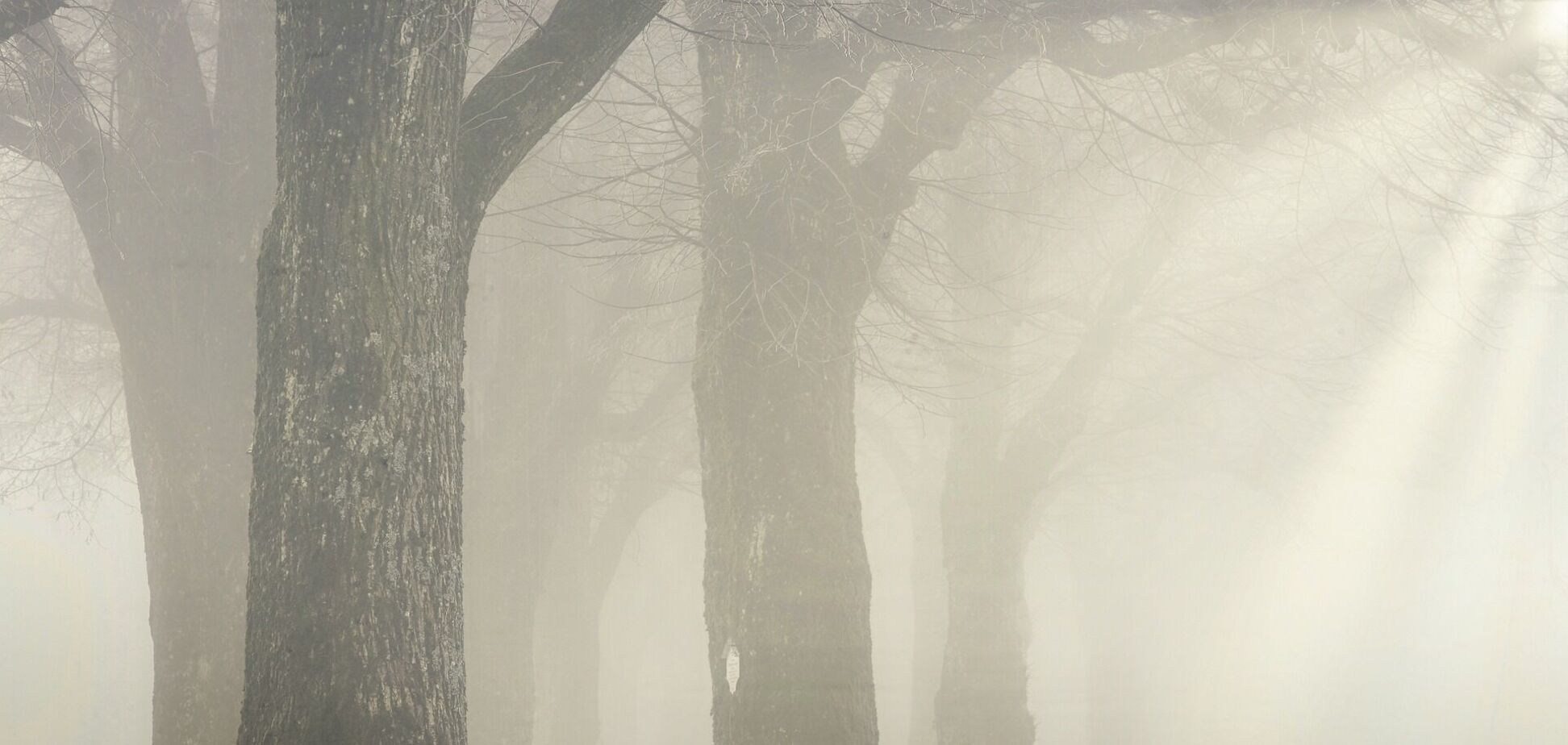 Погоду будет определять антициклон: синоптик уточнила прогноз на выходные в Украине. Карта