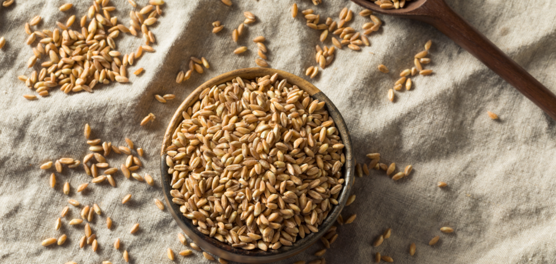 На будь-який смак: веселі посівалки для дітей і дорослих