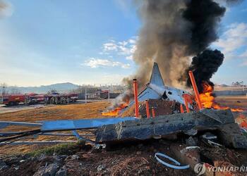 В Южной Корее разбился и вспыхнул пассажирский самолет: 179 человек погибли, двое чудом спаслись. Фото и видео