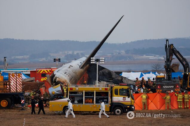 Вибух був ще в повітрі: очевидці розповіли про авіакатастрофу в Південній Кореї, яка забрала життя 179 людей. Відео