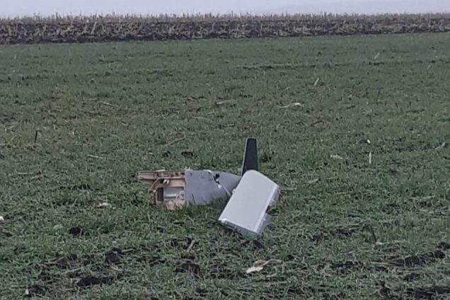 В Молдове у границы с Украиной нашли дрон: появились подробности