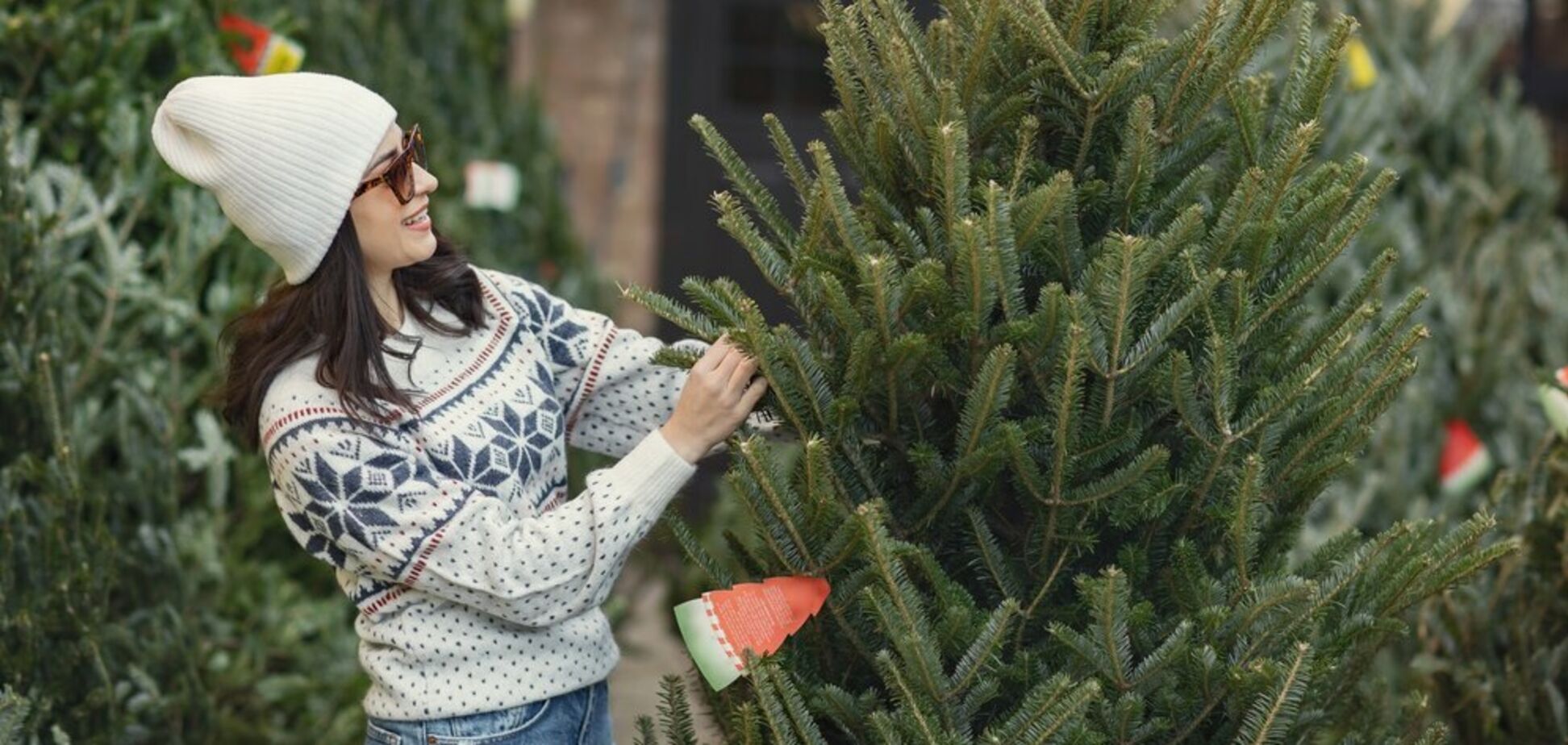 Сколько придется заплатить за покупку елки без документов