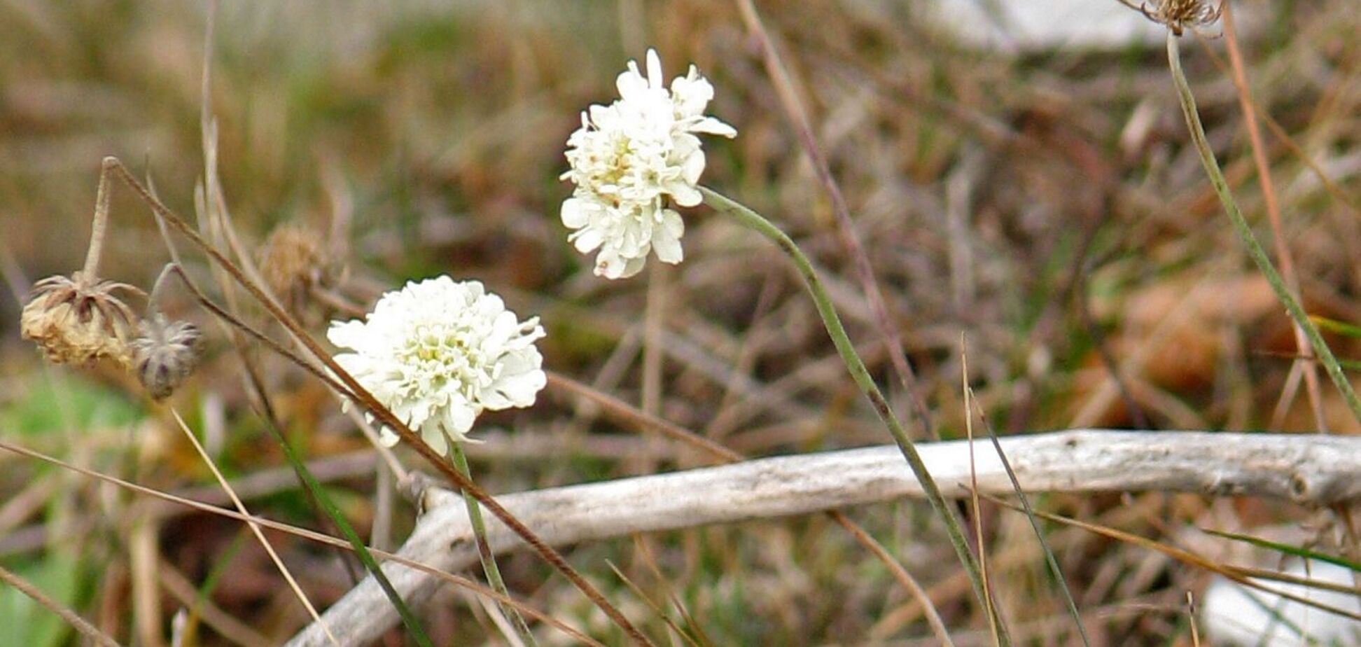У парку на заході України помітили природну аномалію. Відео