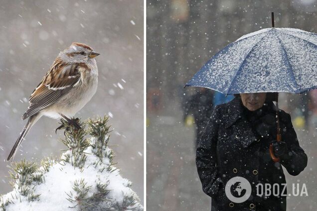 Мокрий сніг і дощ: якою буде погода в Україні на вихідних