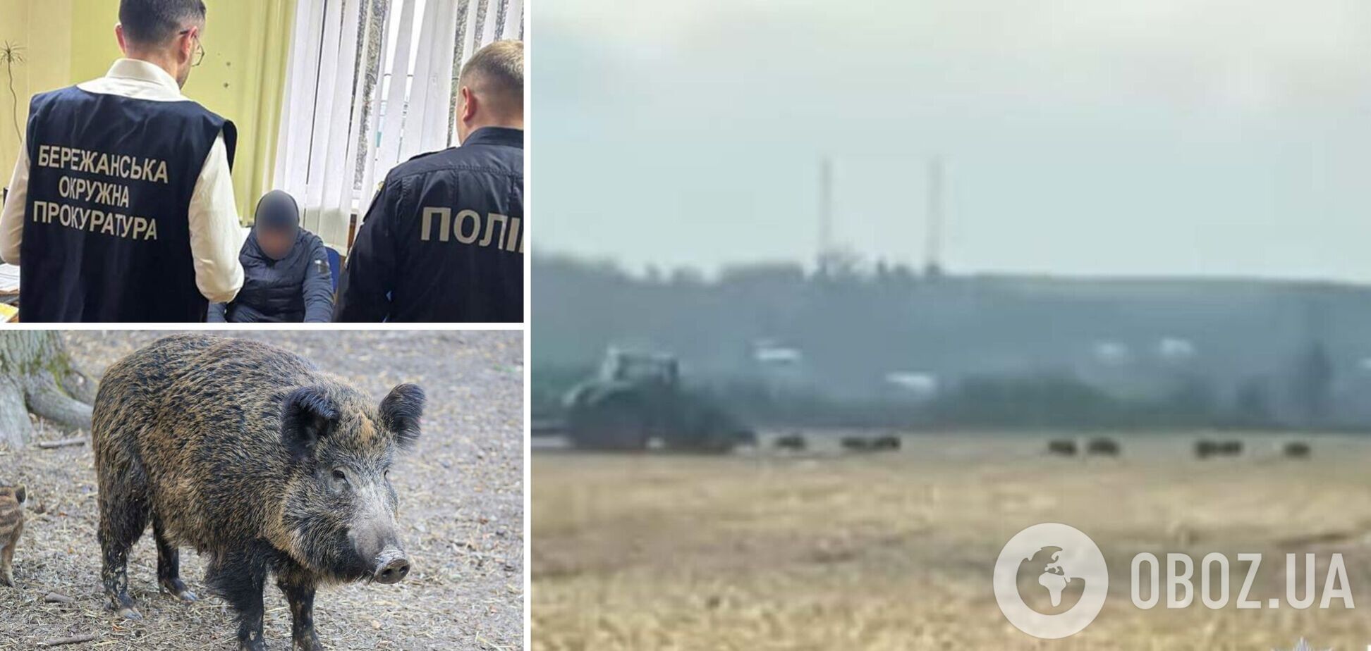 Привязали к трактору и тащили по полю: на Тернопольщине работники агрофирмы жестоко издевались над дикими животными