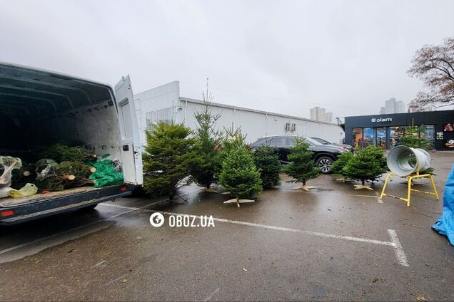 Подставки для деревьев продают отдельно: стали известны цены на елочных базарах Киева. Фото