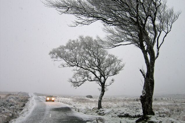 На дорогах буде ожеледиця: синоптикиня попередила українців про погіршення погоди. Карта