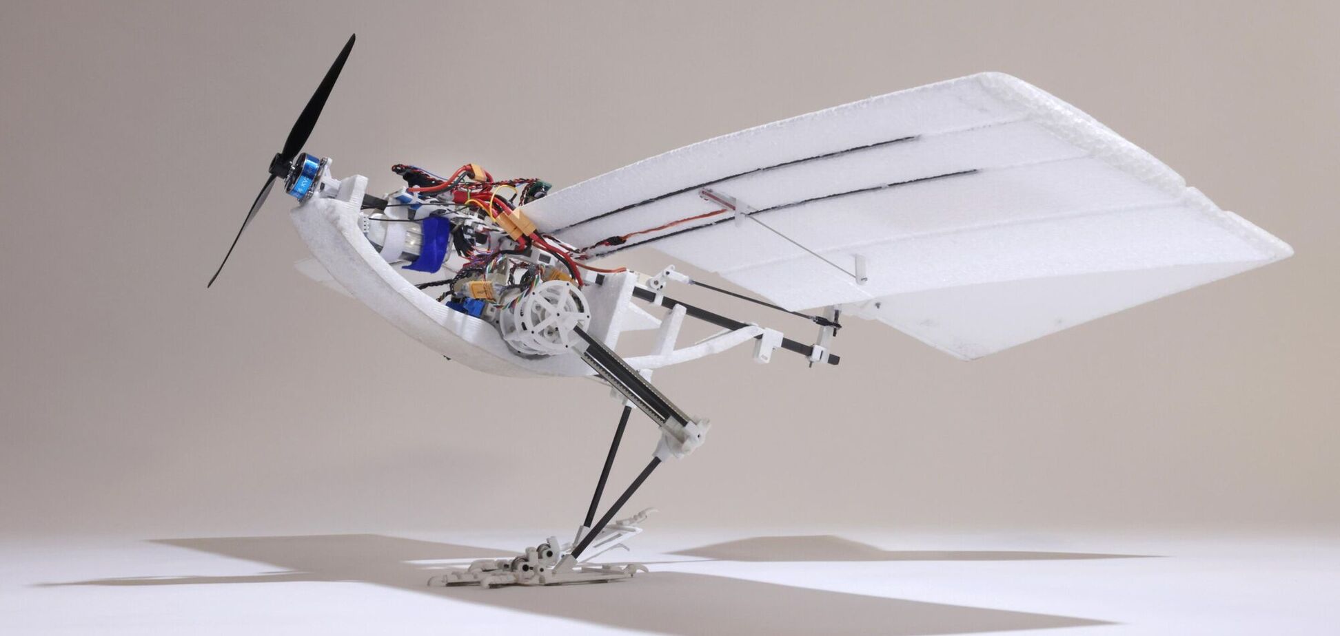 Инженеры создали робота-птицу, которая прыгает в воздух, чтобы взлететь. Фото и видео