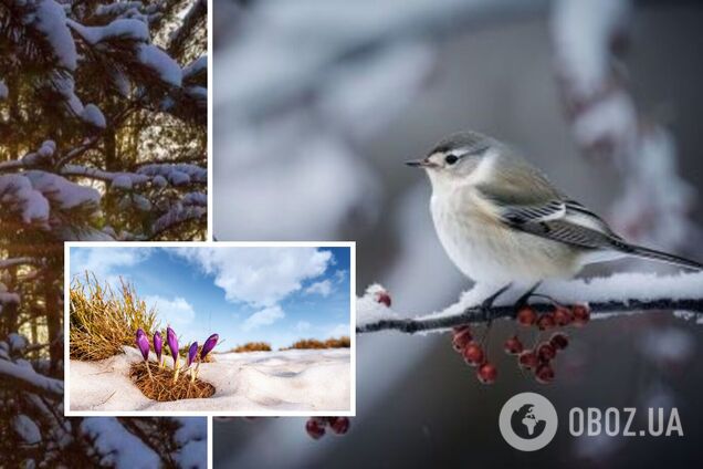 Будут резкие колебания: синоптик заинтриговал прогнозом на февраль в Украине