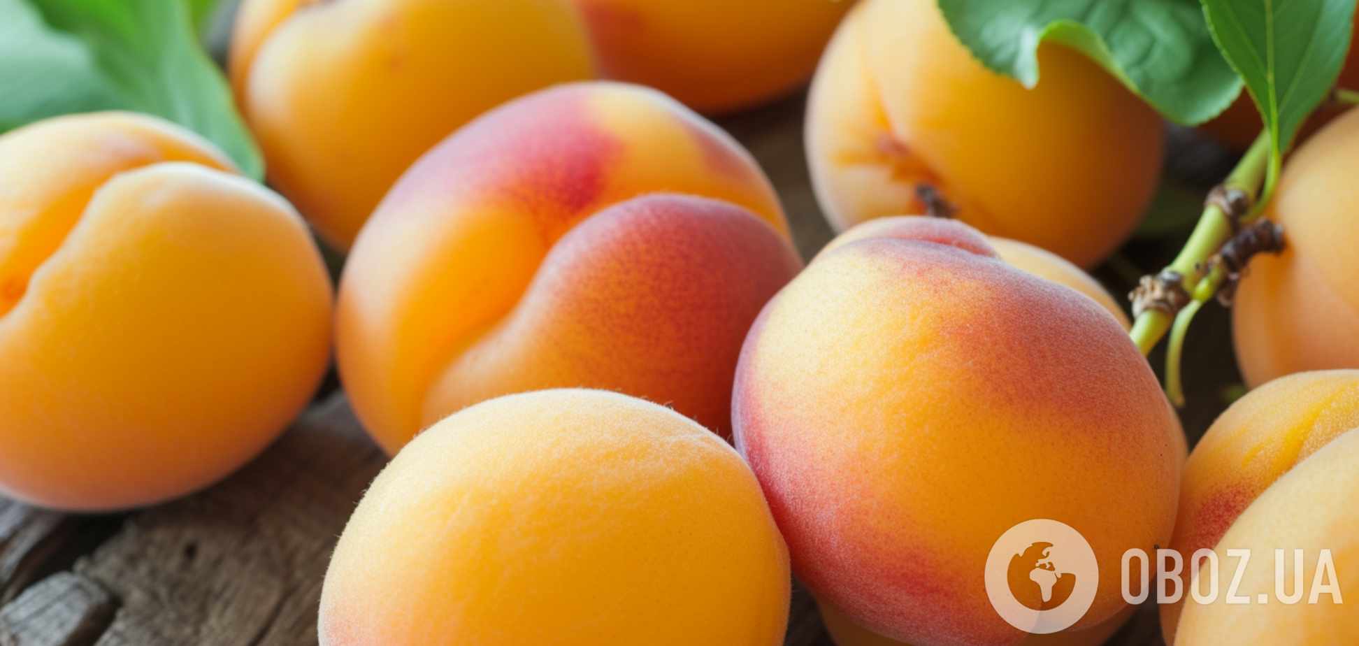 Збільште шанси на урожай: як правильно обрізати абрикос 