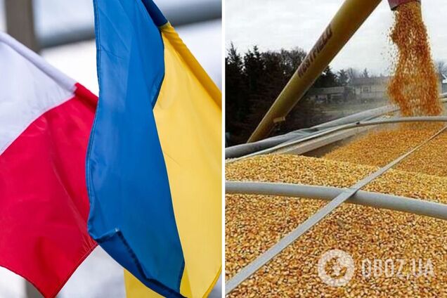 Уряд Польщі засумнівався в якості зерна з України