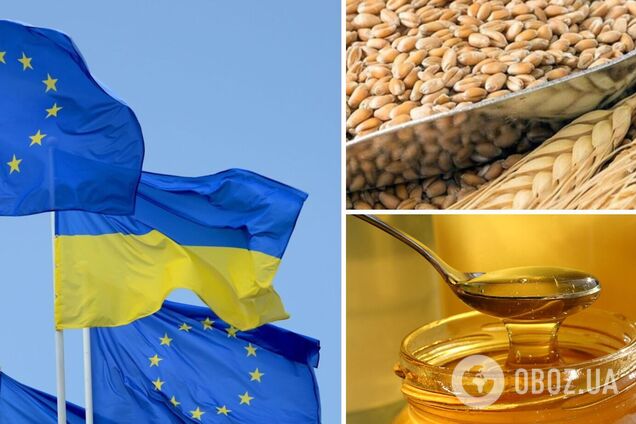 Некоторые страны ЕС все еще запрещают ввоз агропродукции из Украины