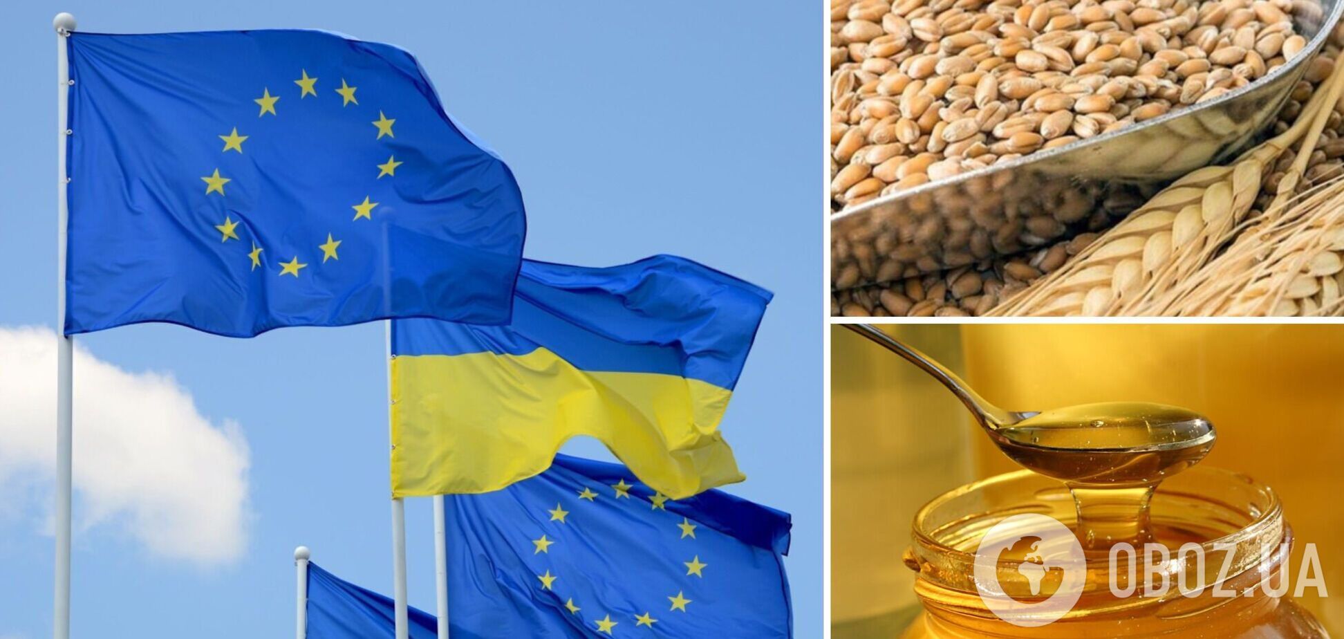 Деякі країни ЄС ще забороняють ввезення агропродукції з України