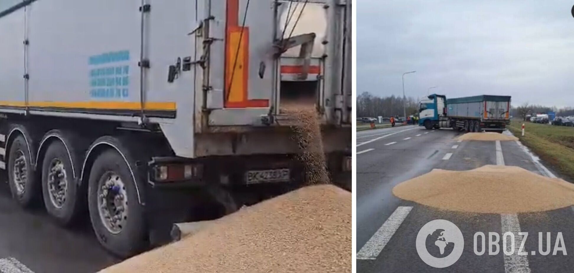 Знищення поляками української пшениці не має нічого спільного з мирними протестами