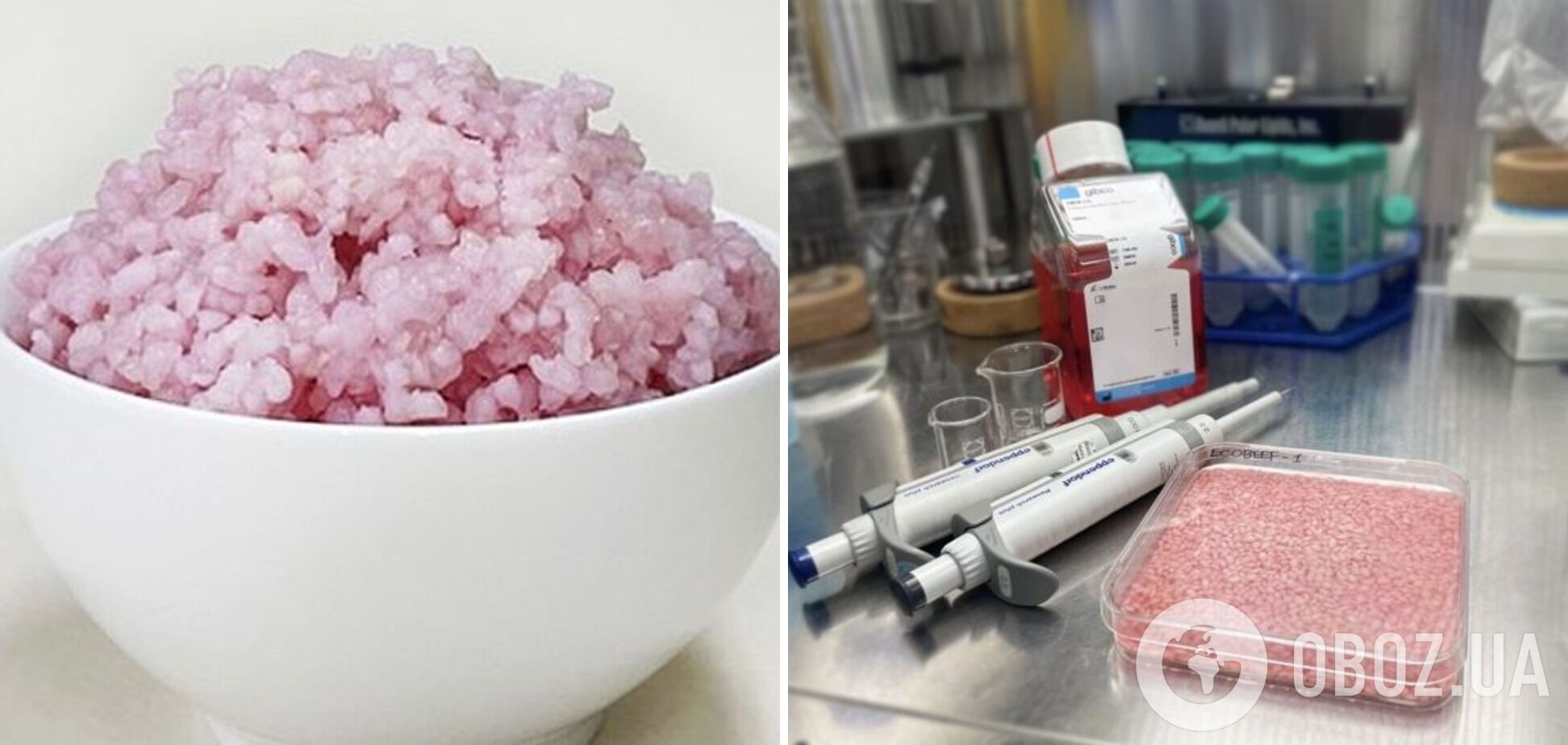 Ученые вырастили телятину внутри зерна риса: почему это может стать настоящим прорывом