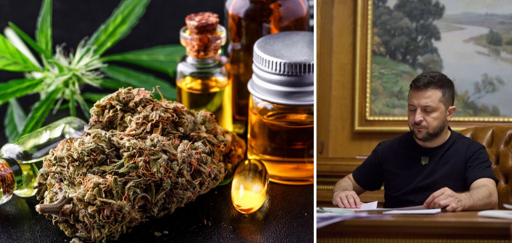 Зеленський підписав закон про легалізацію медичного канабісу: коли він набуде чинності