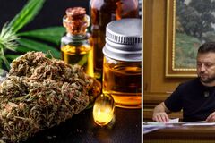 Зеленський підписав закон про легалізацію медичного канабісу: коли він набуде чинності